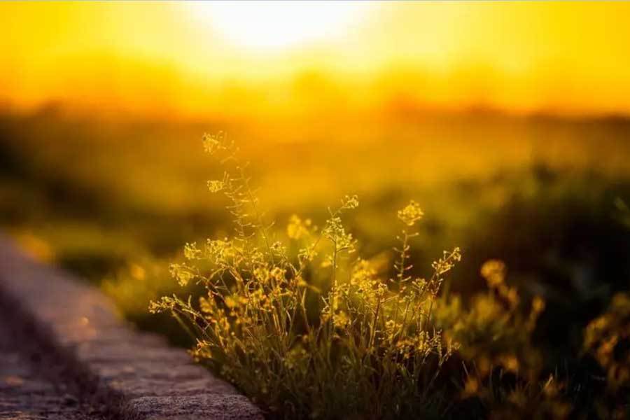 校园篮球三分大赛举行,选手精准投篮